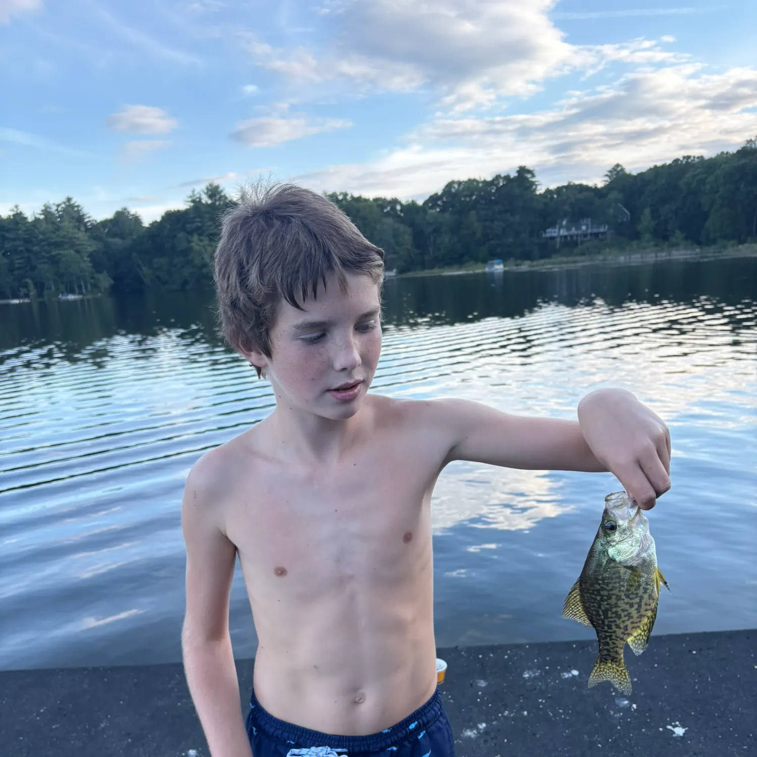Black crappie caught on Fishbrain