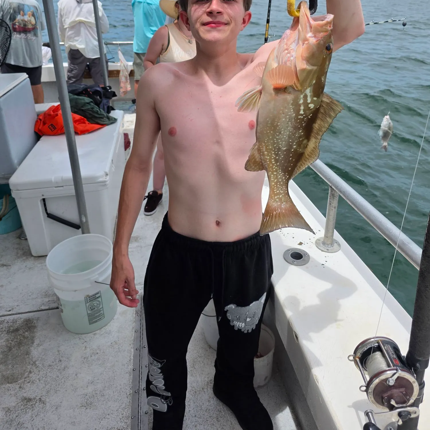 The most recent Red grouper catches on Fishbrain