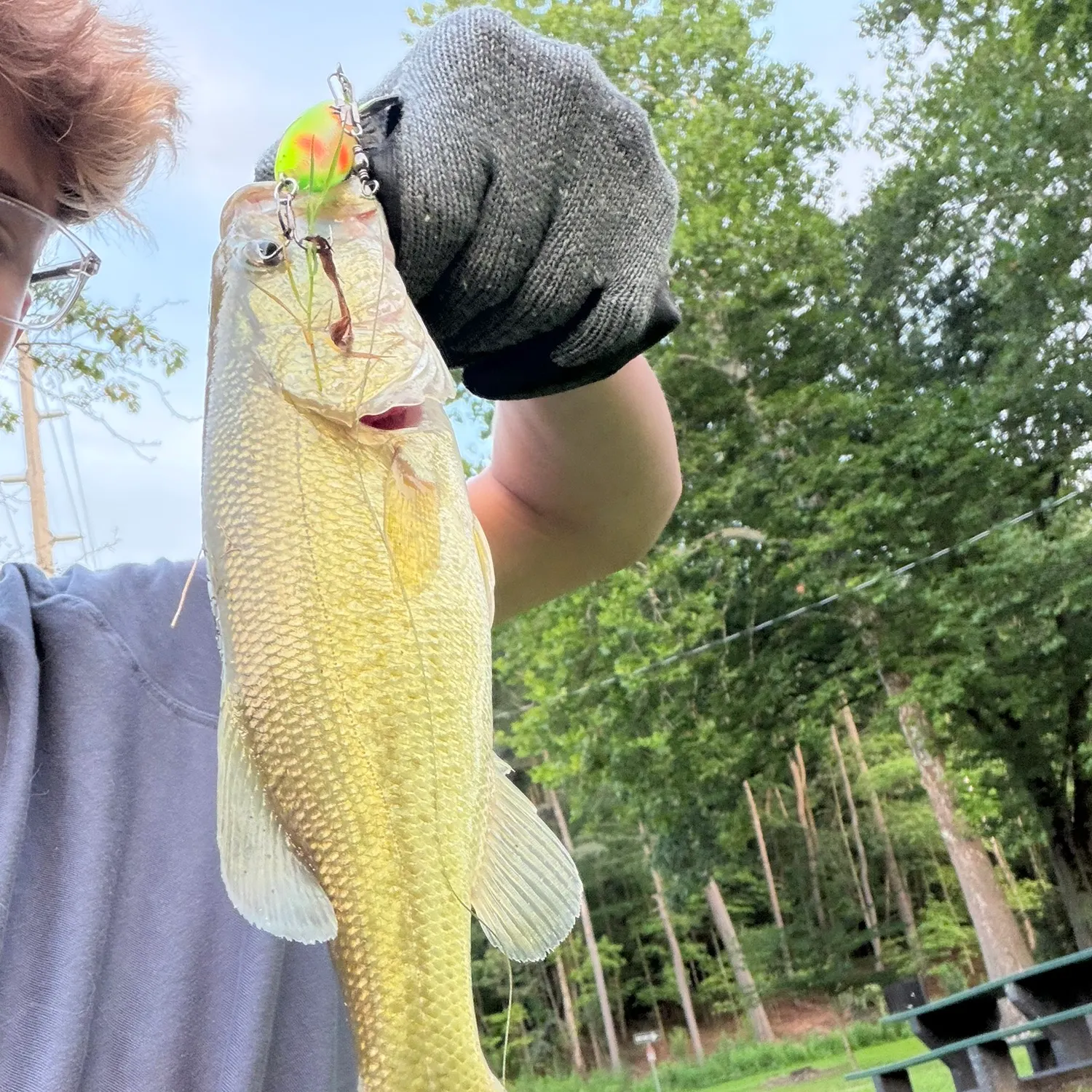 Largemouth bass caught on Fishbrain