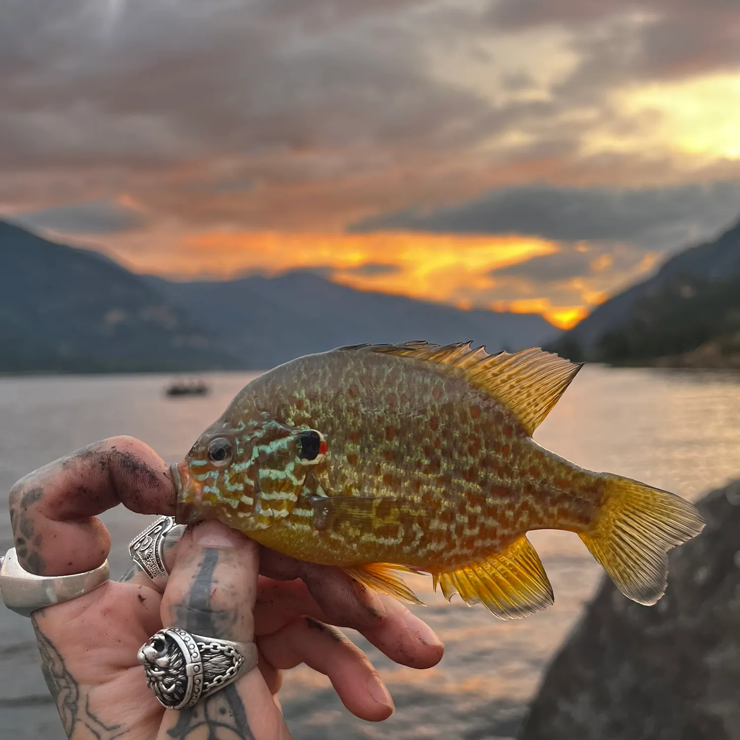 catch