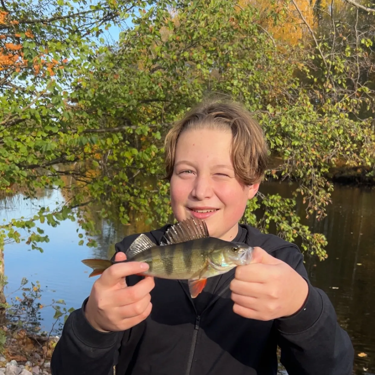 European perch caught on Fishbrain