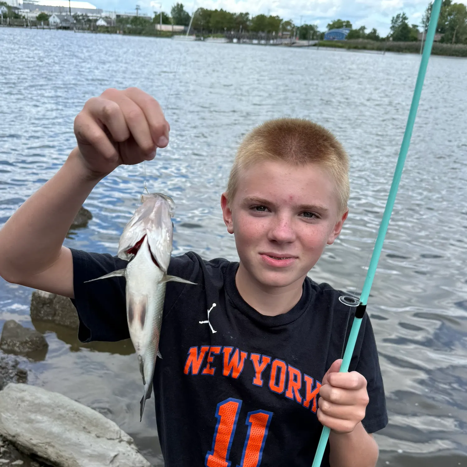 White perch caught on Fishbrain