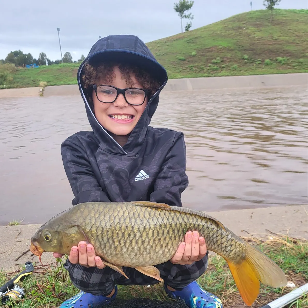 Common carp caught on Fishbrain