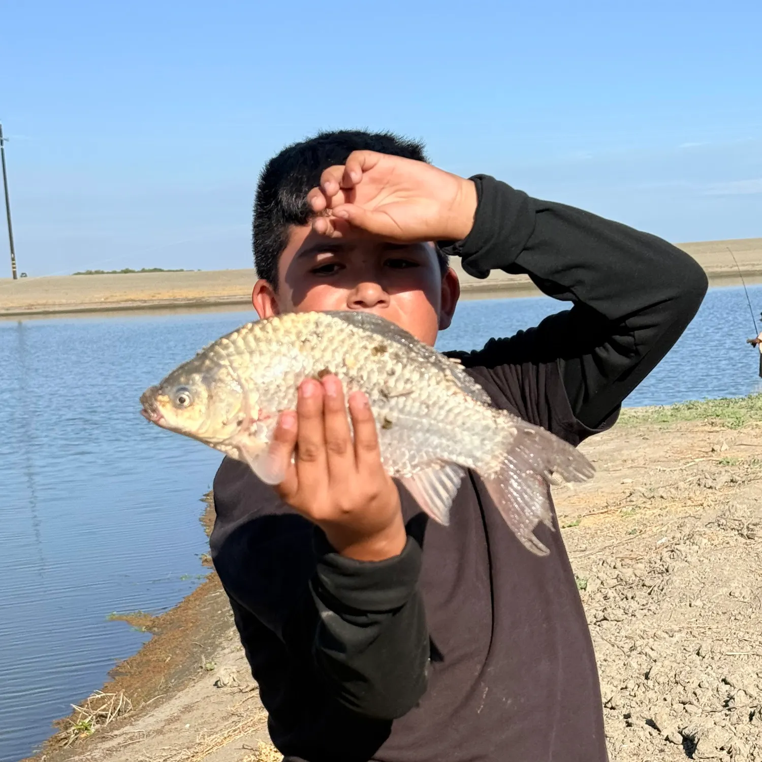 The most recent Crucian carp catches on Fishbrain