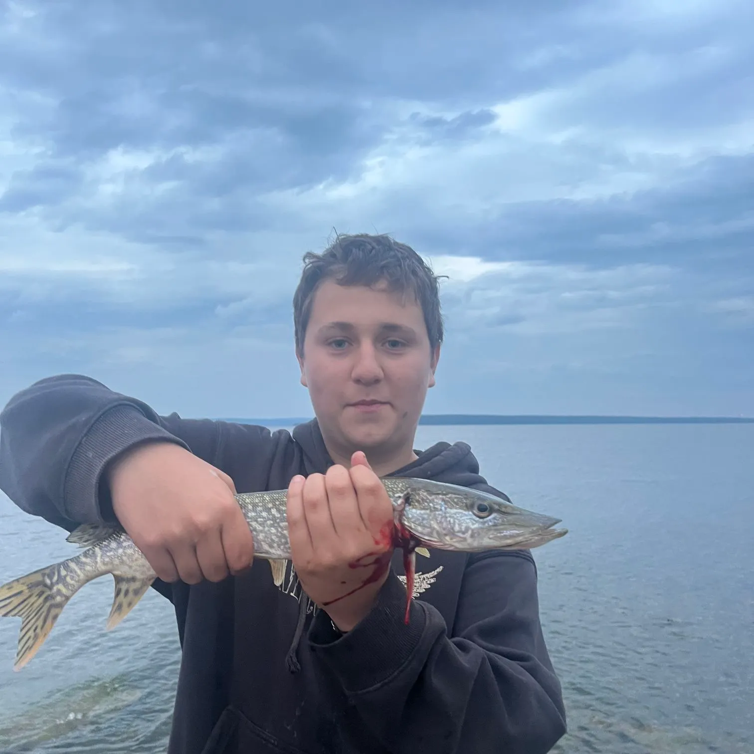 Northern pike caught on Fishbrain