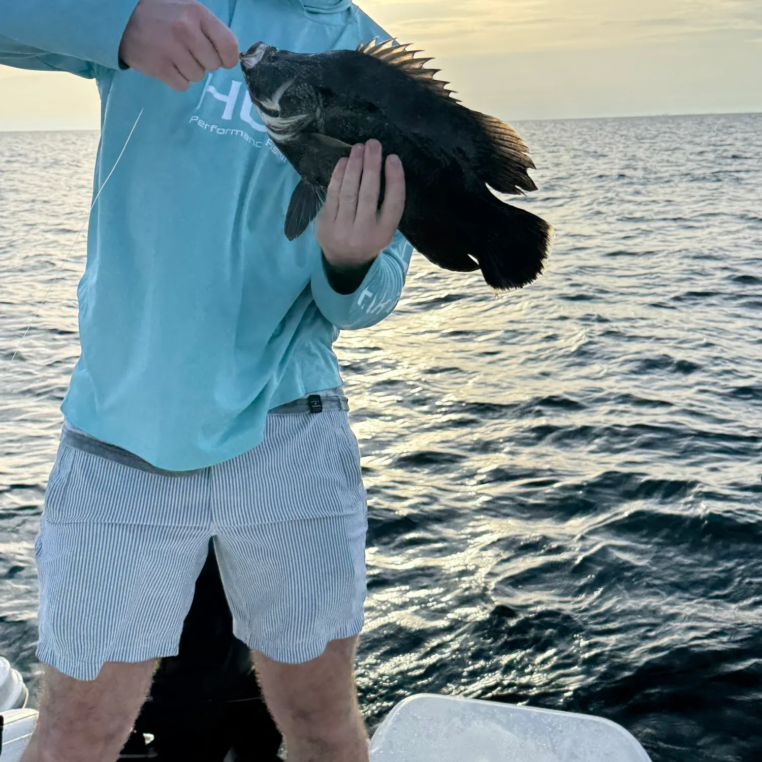 The most recent Atlantic tripletail catches on Fishbrain
