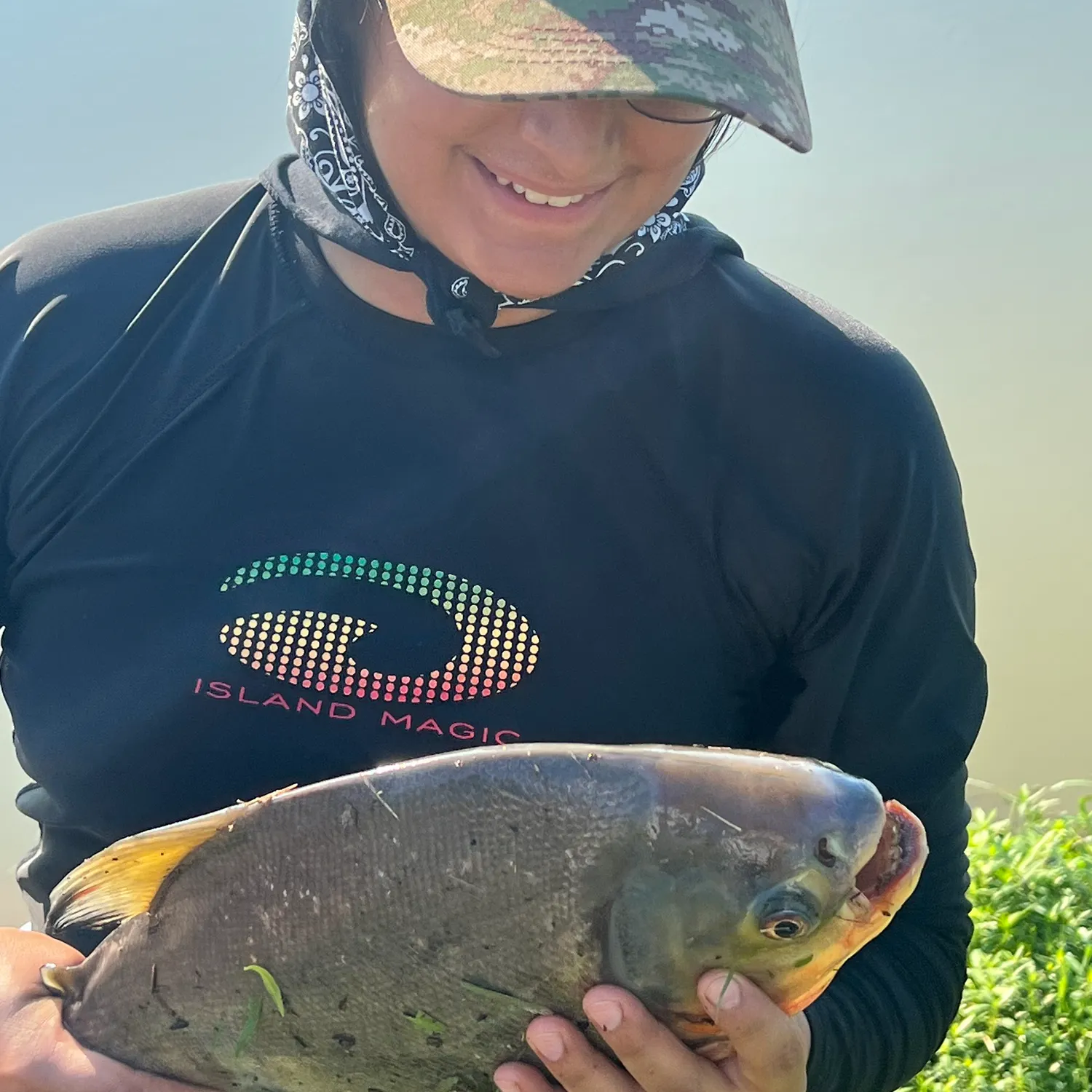 The most recent Red-bellied pacu catches on Fishbrain