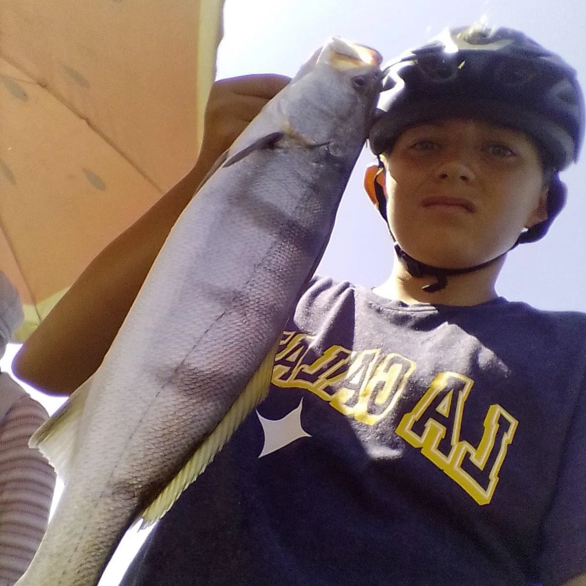 The most recent White seabass catches on Fishbrain