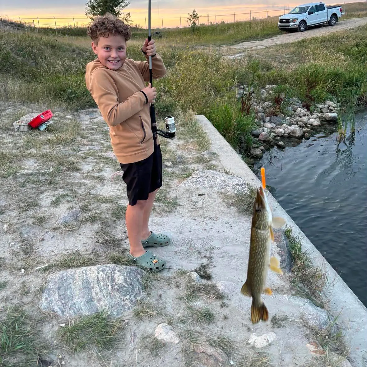 Northern pike caught on Fishbrain