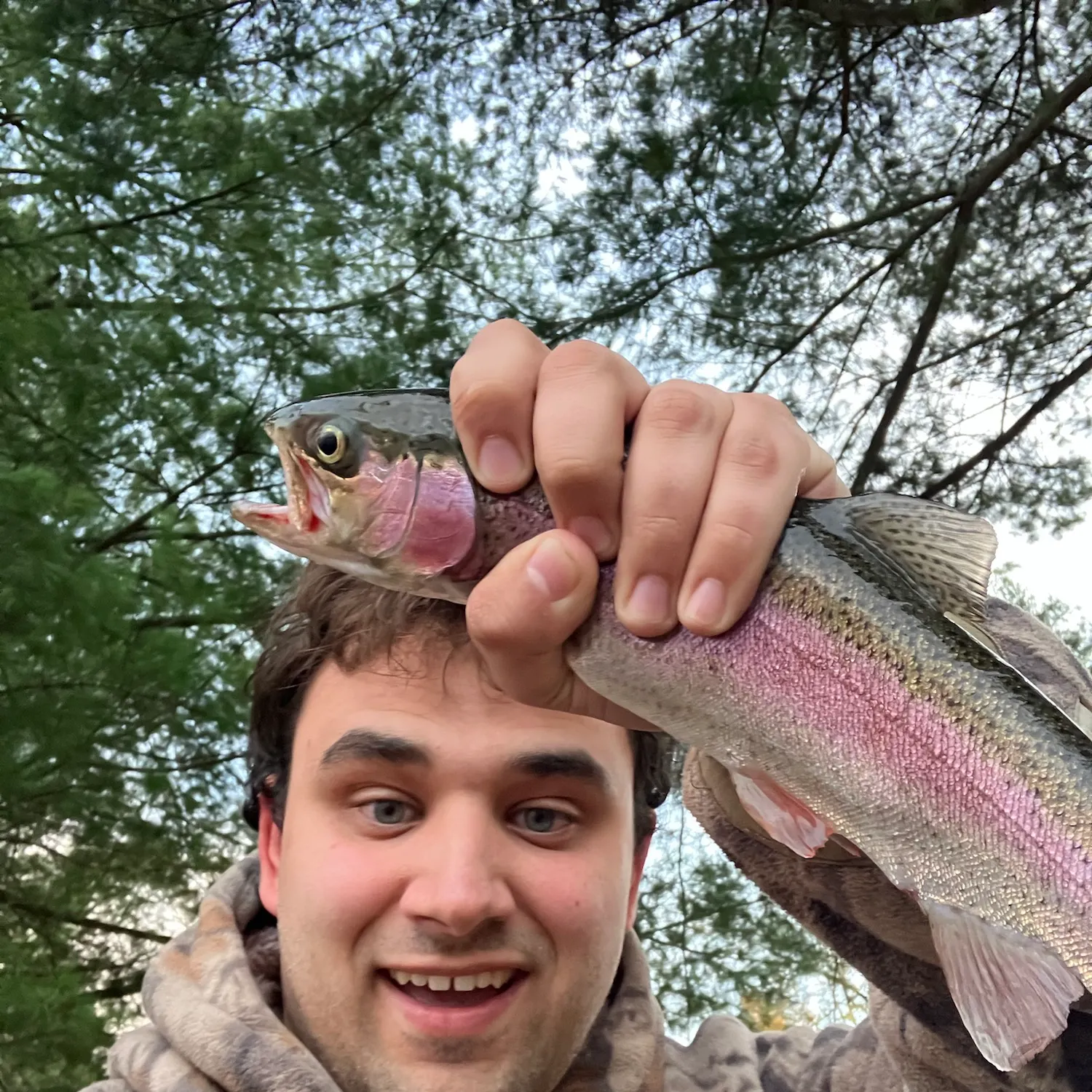 Rainbow trout caught on Fishbrain