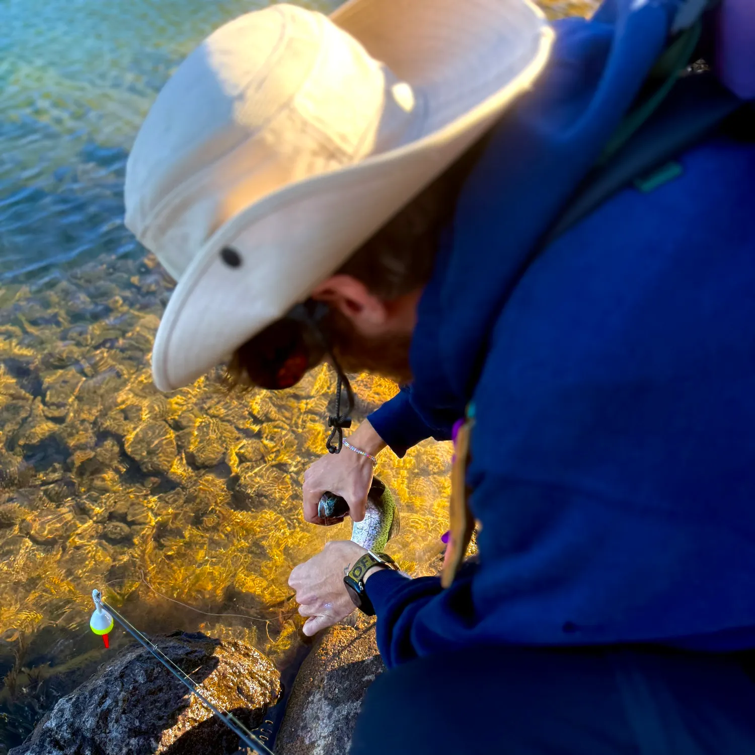 Rainbow trout caught on Fishbrain
