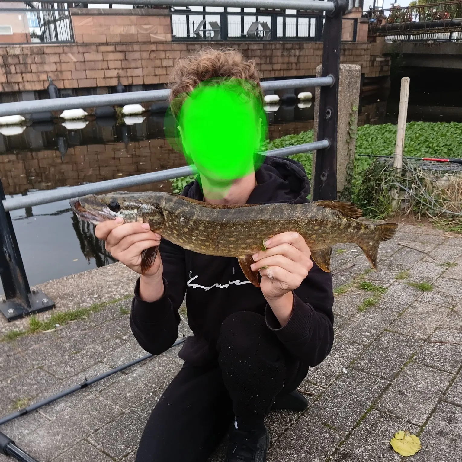 Northern pike caught on Fishbrain