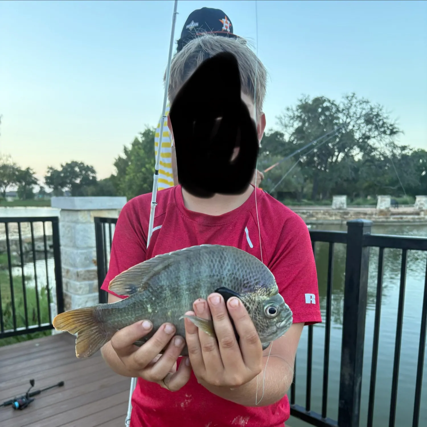 The most recent Coppernose bluegill catches on Fishbrain