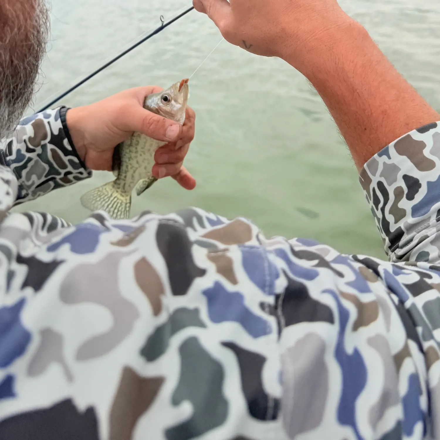 Black crappie caught on Fishbrain