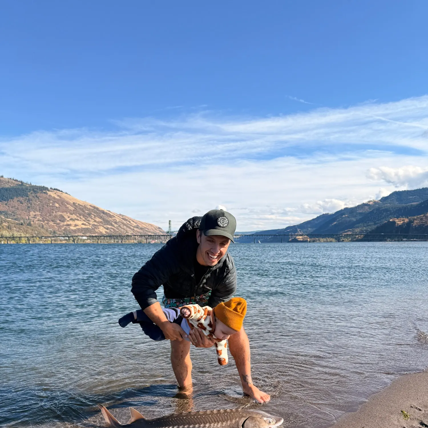White sturgeon caught on Fishbrain