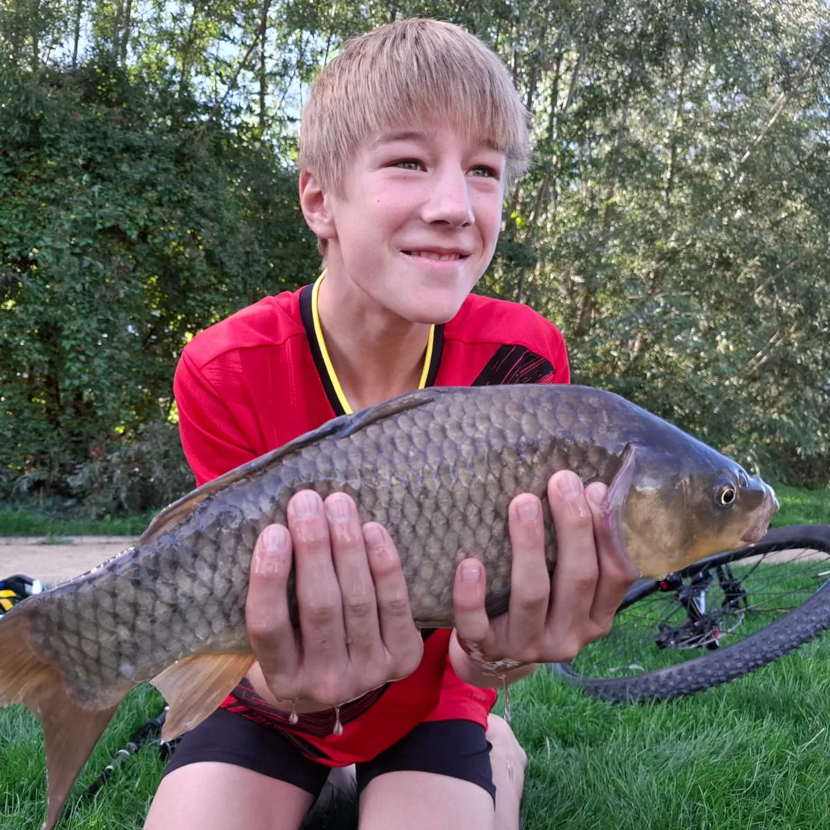 Common carp caught on Fishbrain