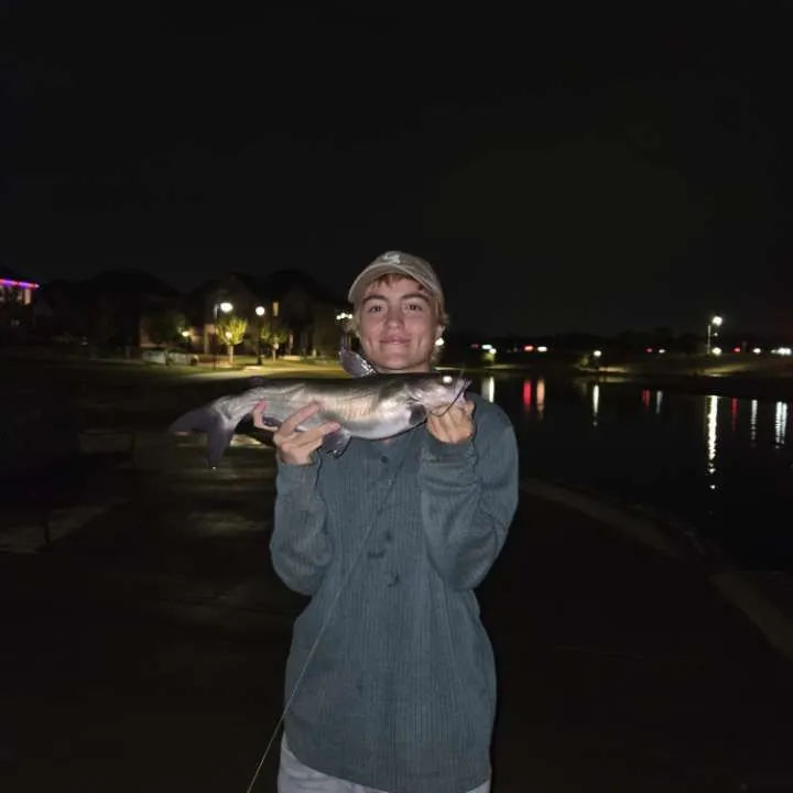 Channel catfish caught on Fishbrain