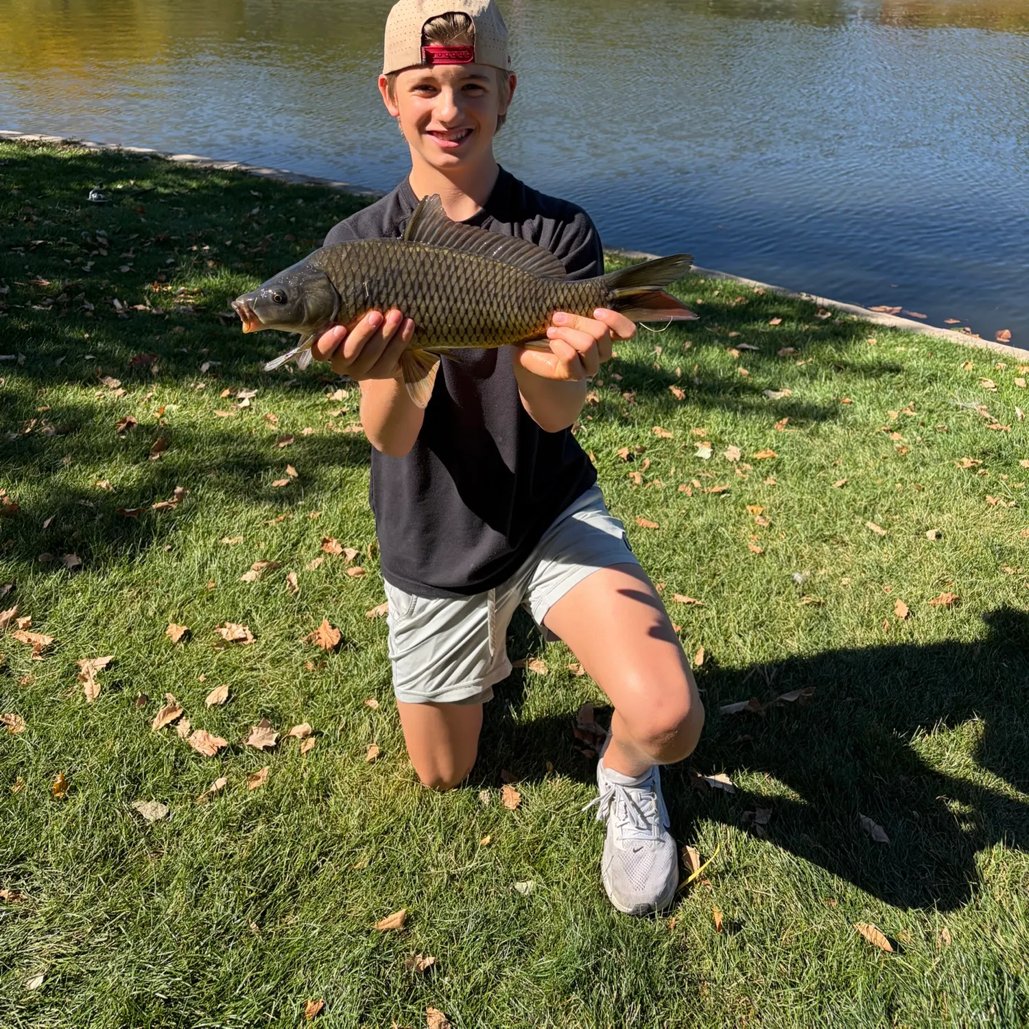 Common carp caught on Fishbrain