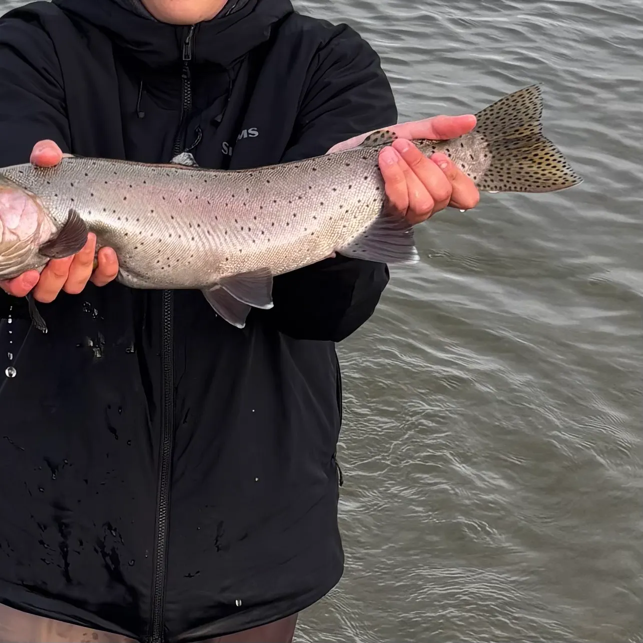 The most recent Lahontan cutthroat trout catches on Fishbrain