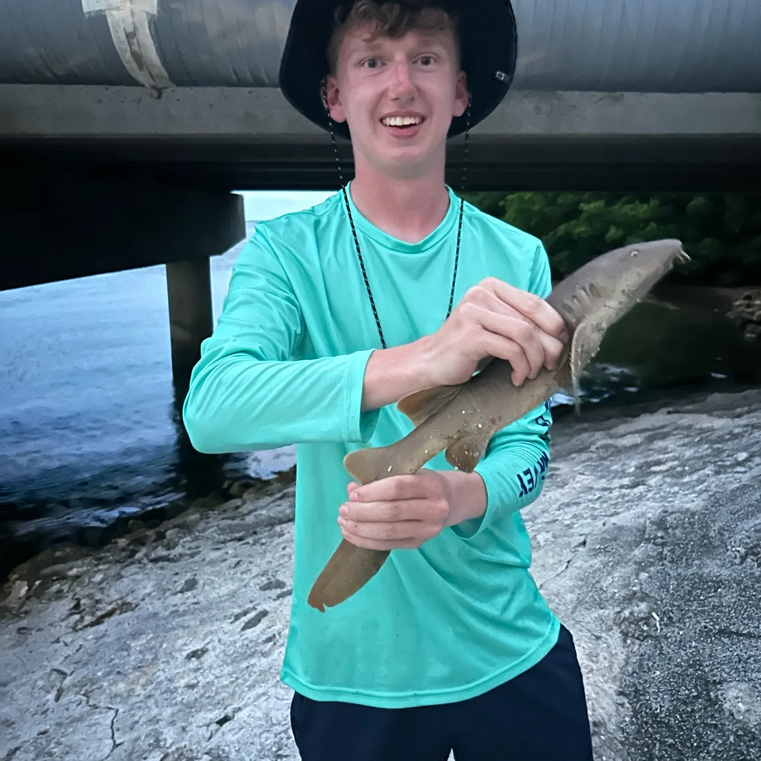 Nurse shark caught on Fishbrain
