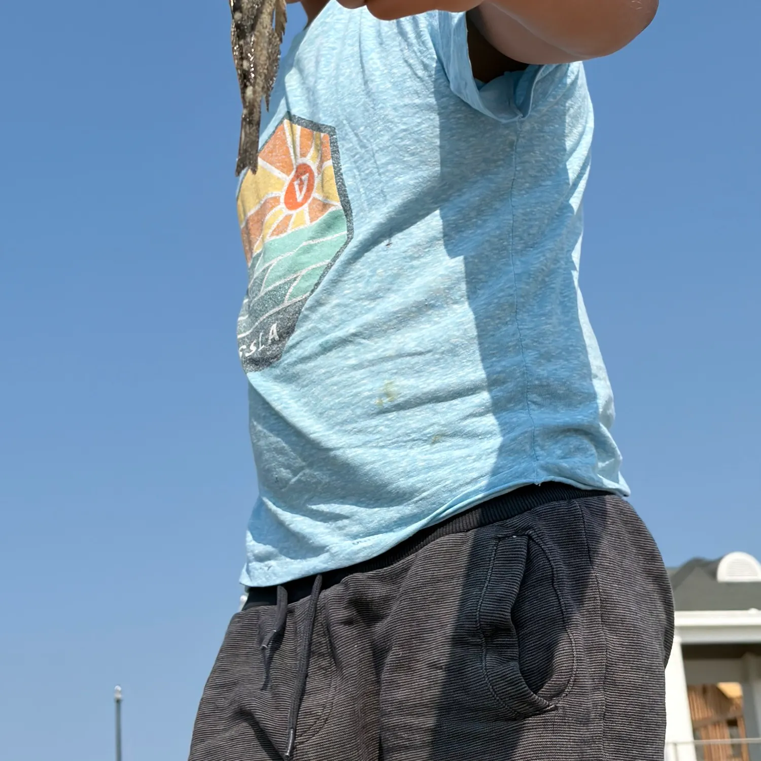 The most recent Bowmouth guitarfish catches on Fishbrain