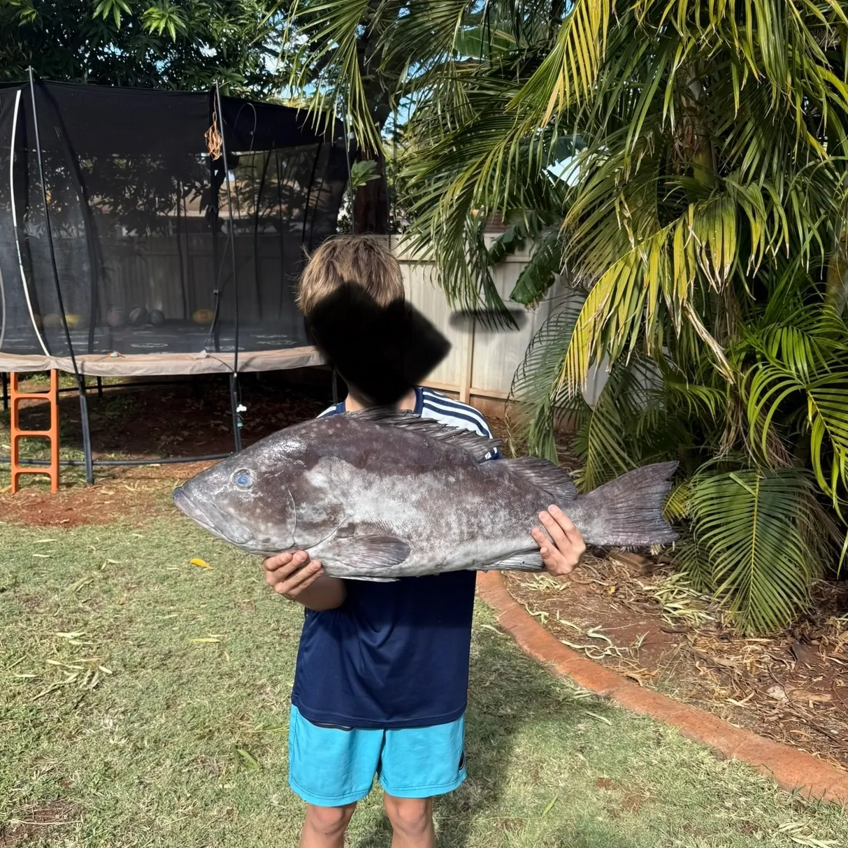 Fish caught on Fishbrain