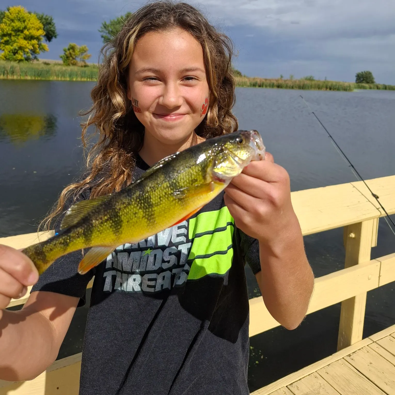 Yellow perch caught on Fishbrain