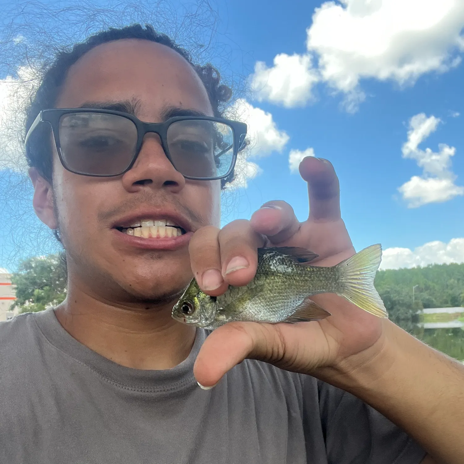 The most recent Bluegill catches on Fishbrain