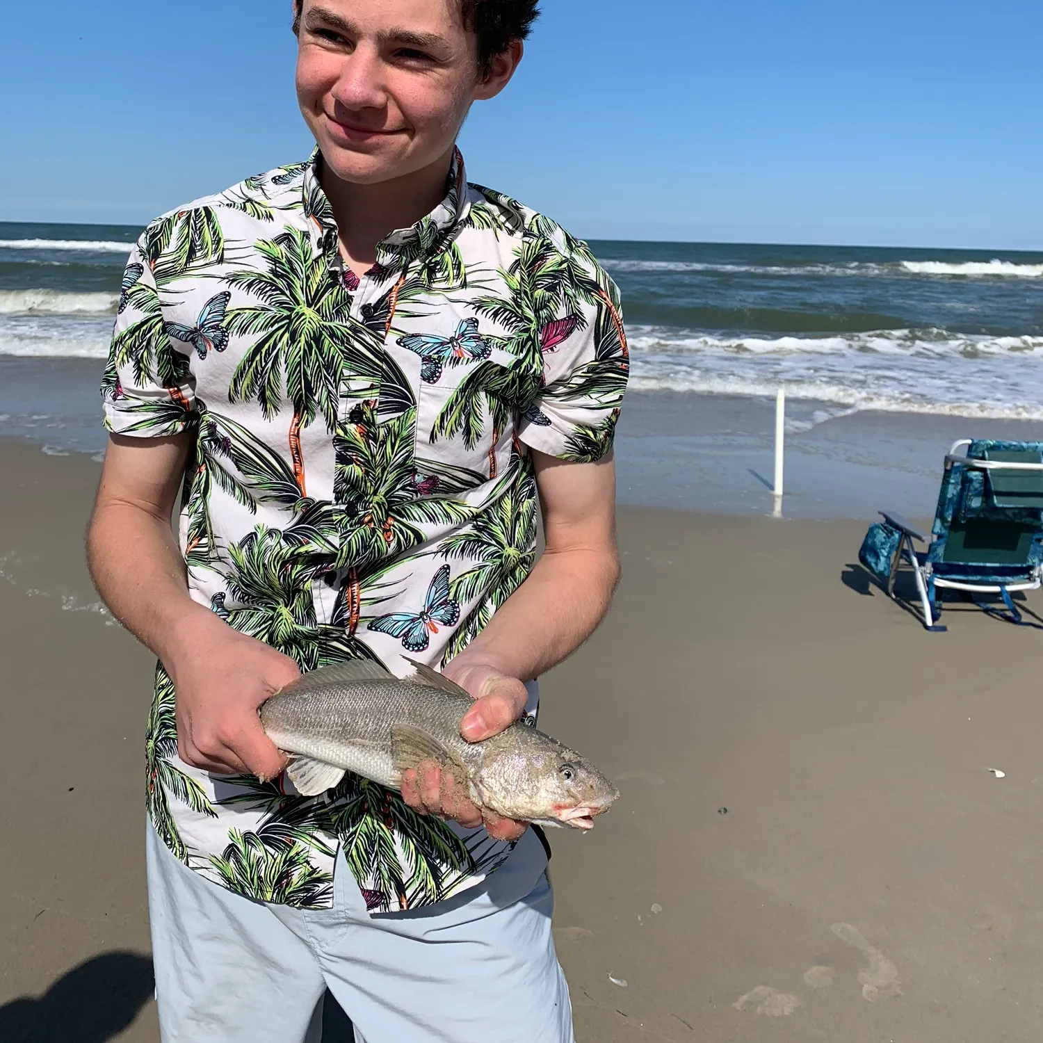 The most recent Whiting catches on Fishbrain