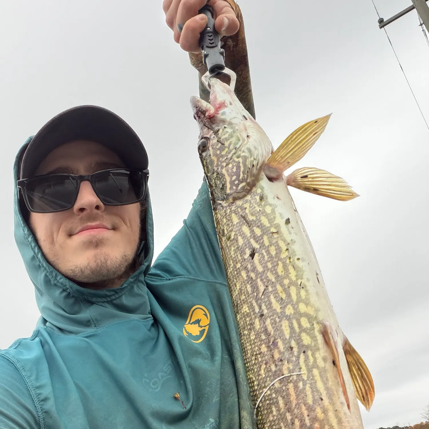 Northern pike caught on Fishbrain