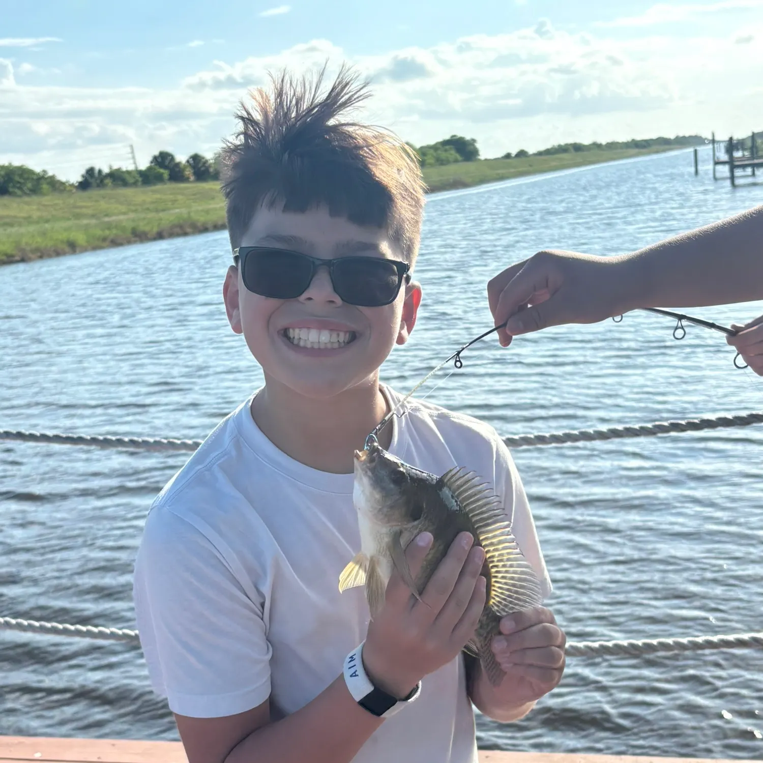 The most recent Redbreast tilapia catches on Fishbrain