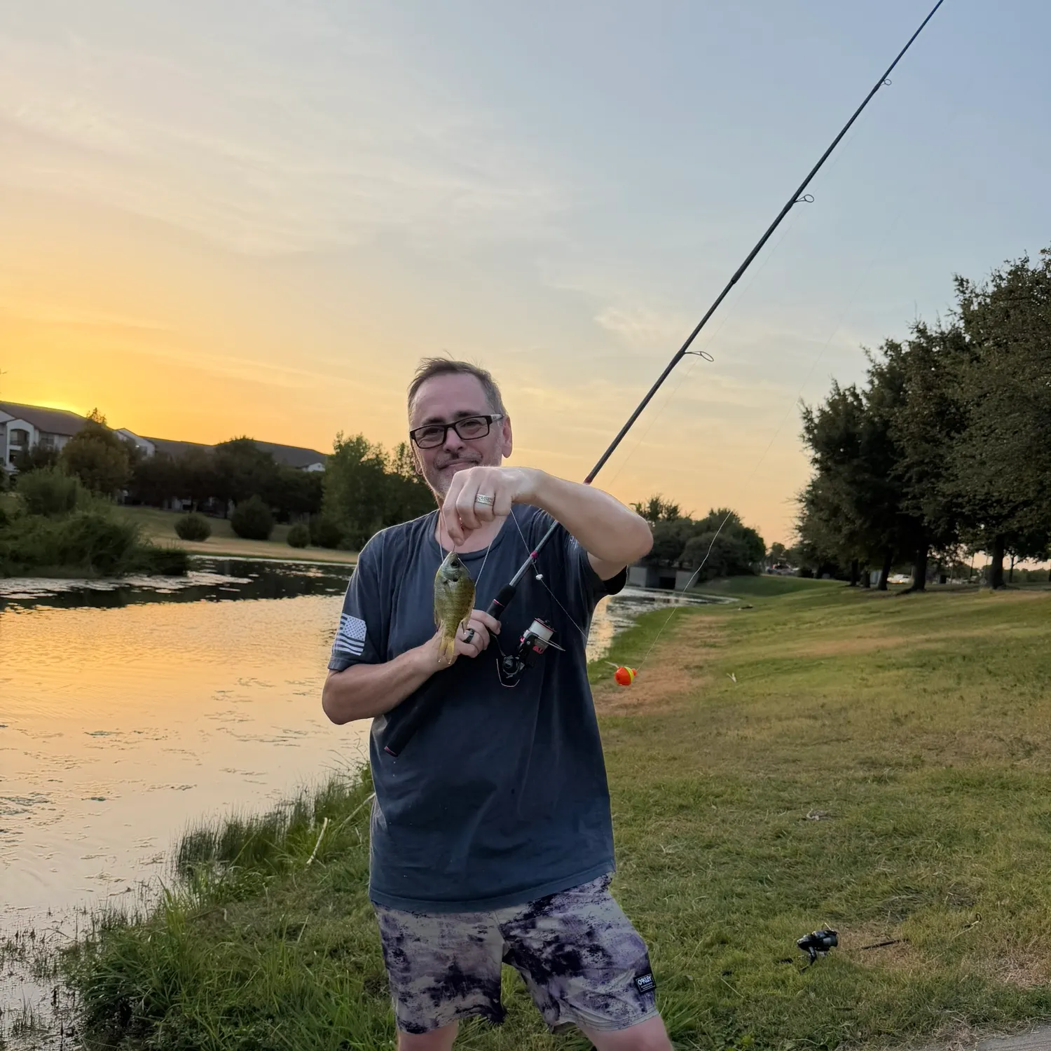 Bluegill caught on Fishbrain