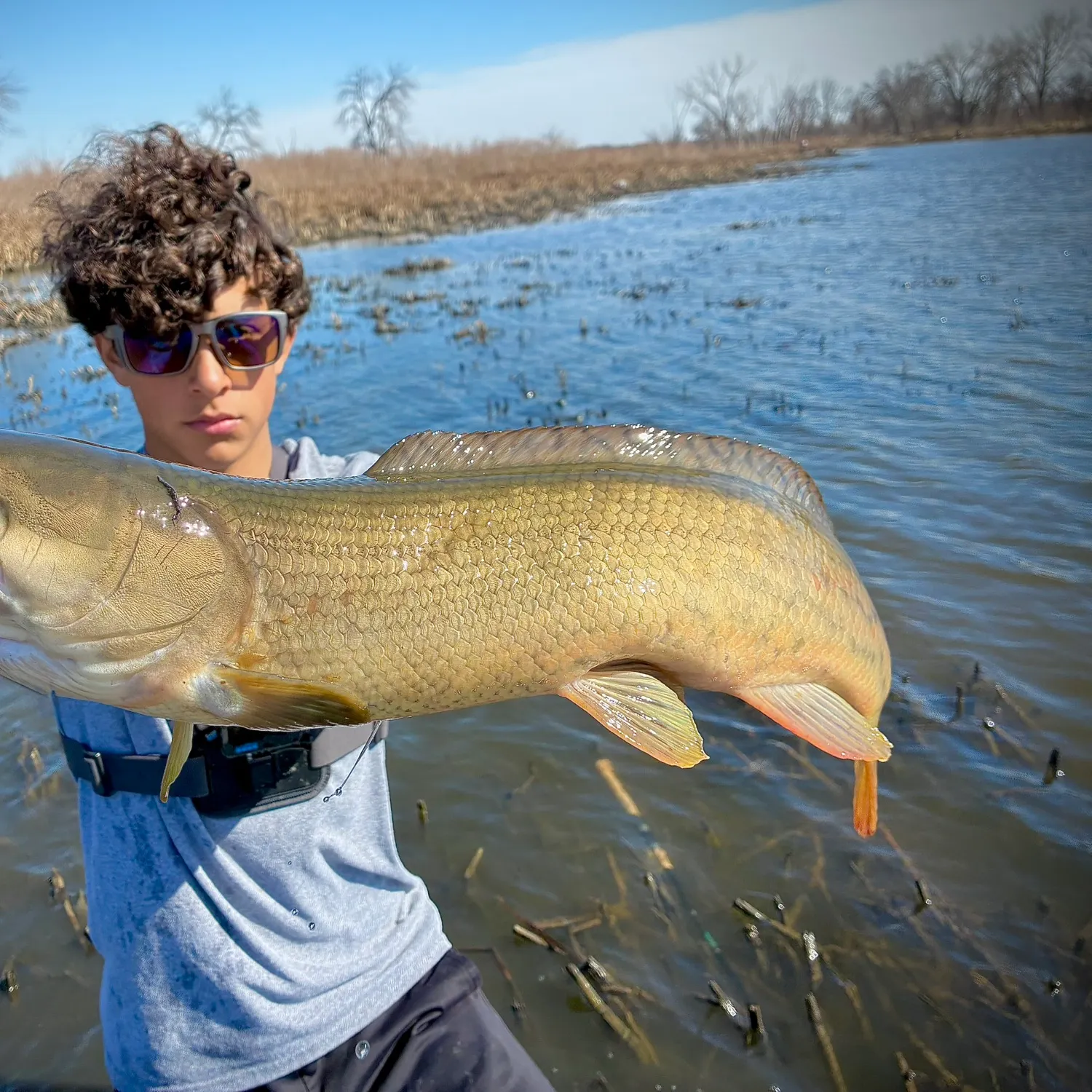 The most recent Eyetail bowfin catches on Fishbrain