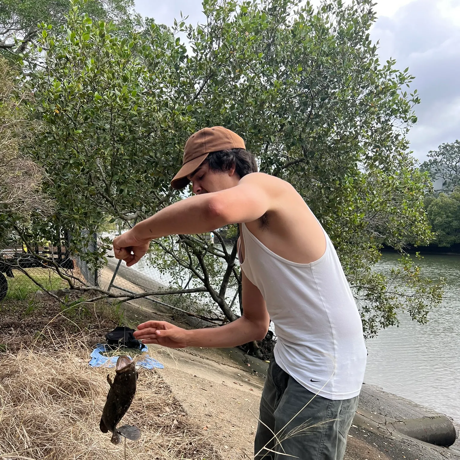 The most recent Orange-spotted grouper catches on Fishbrain