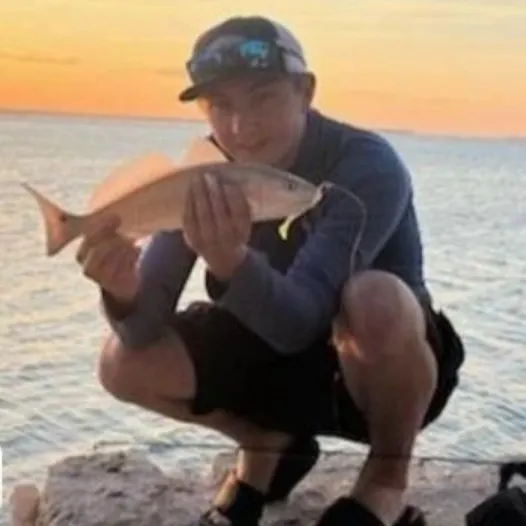 The most recent Red drum catches on Fishbrain