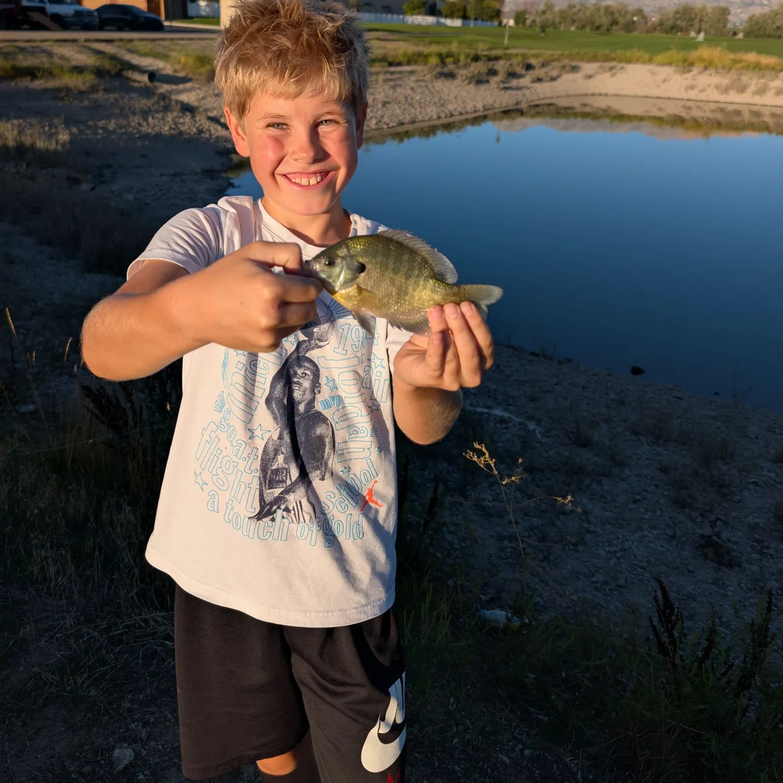 Black bullhead caught on Fishbrain