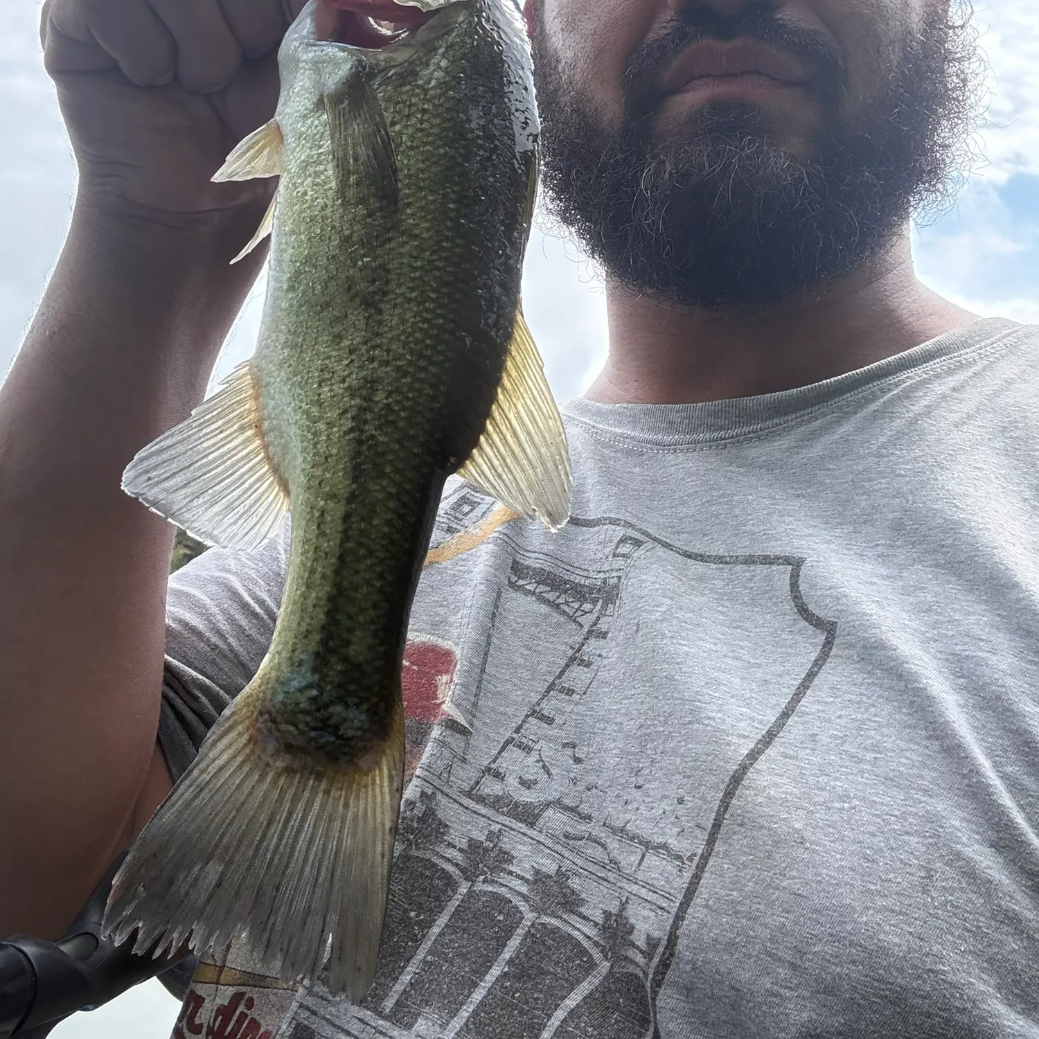 Largemouth bass caught on Fishbrain