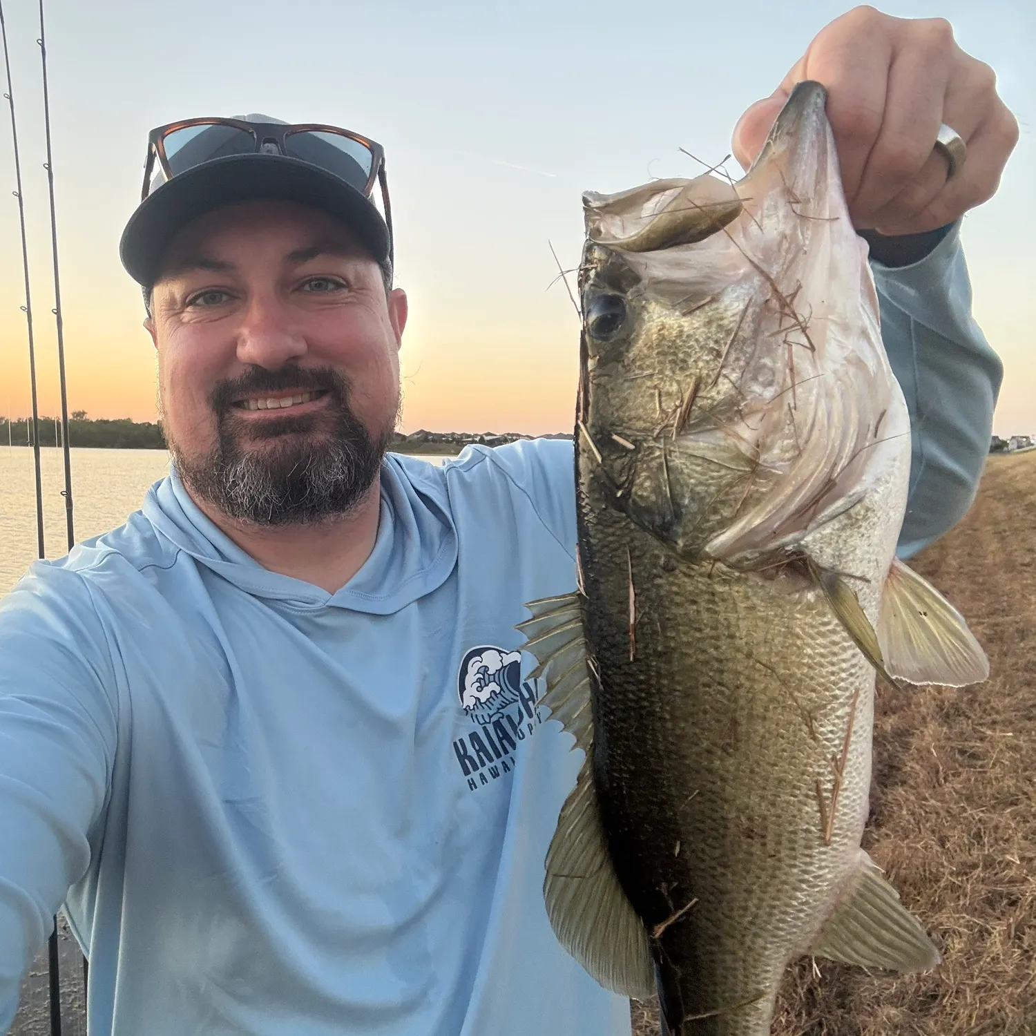 Largemouth bass caught on Fishbrain