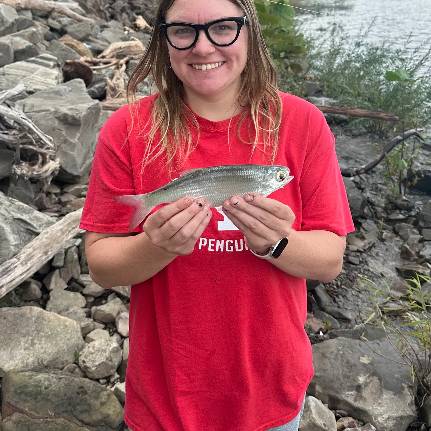 The most recent Mooneye catches on Fishbrain