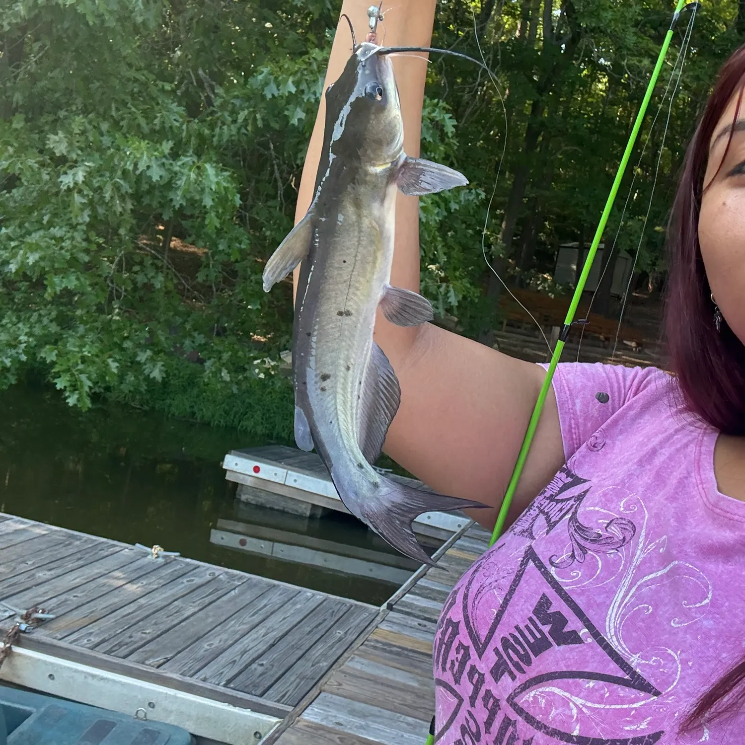Channel catfish caught on Fishbrain