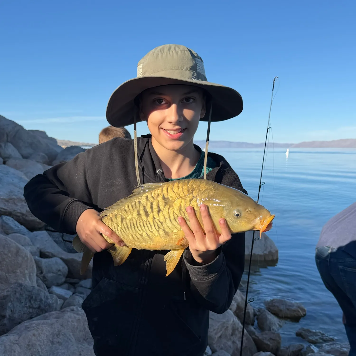 Mirror carp caught on Fishbrain