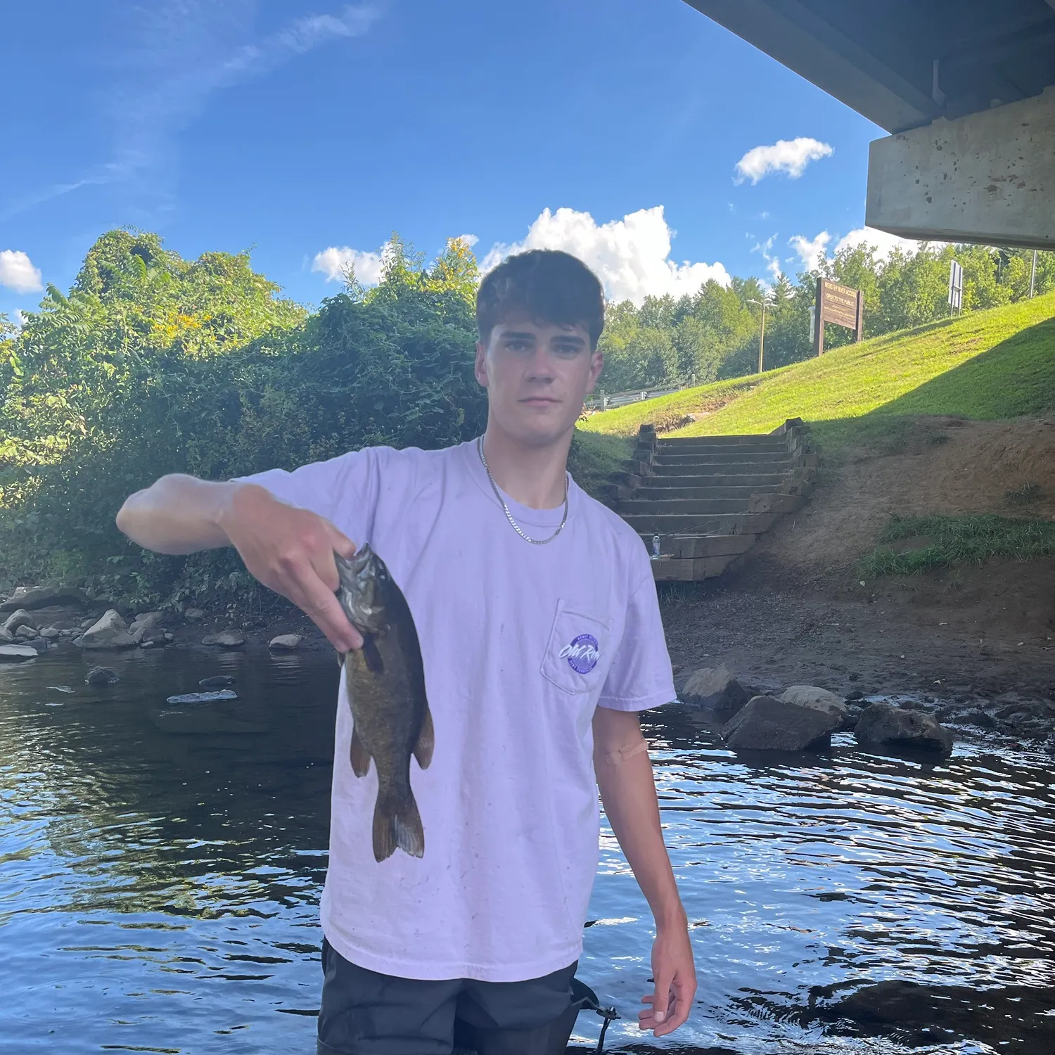 Smallmouth bass caught on Fishbrain