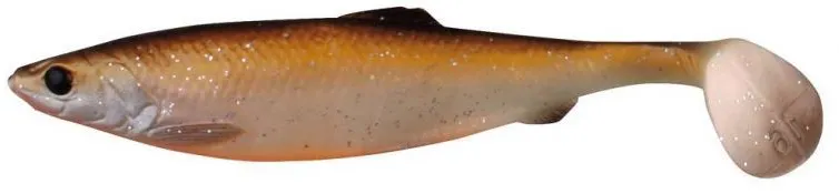 Herring Shad