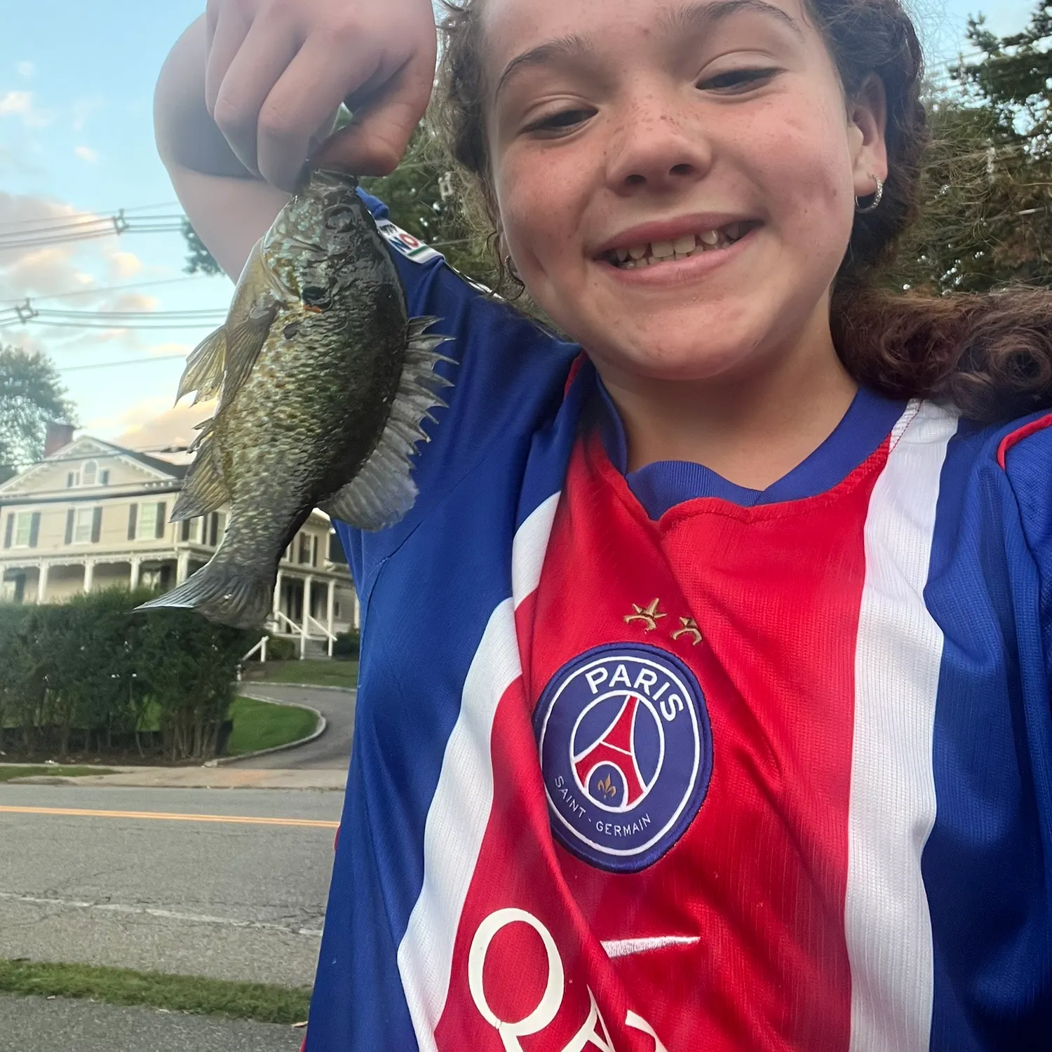 Bluegill caught on Fishbrain