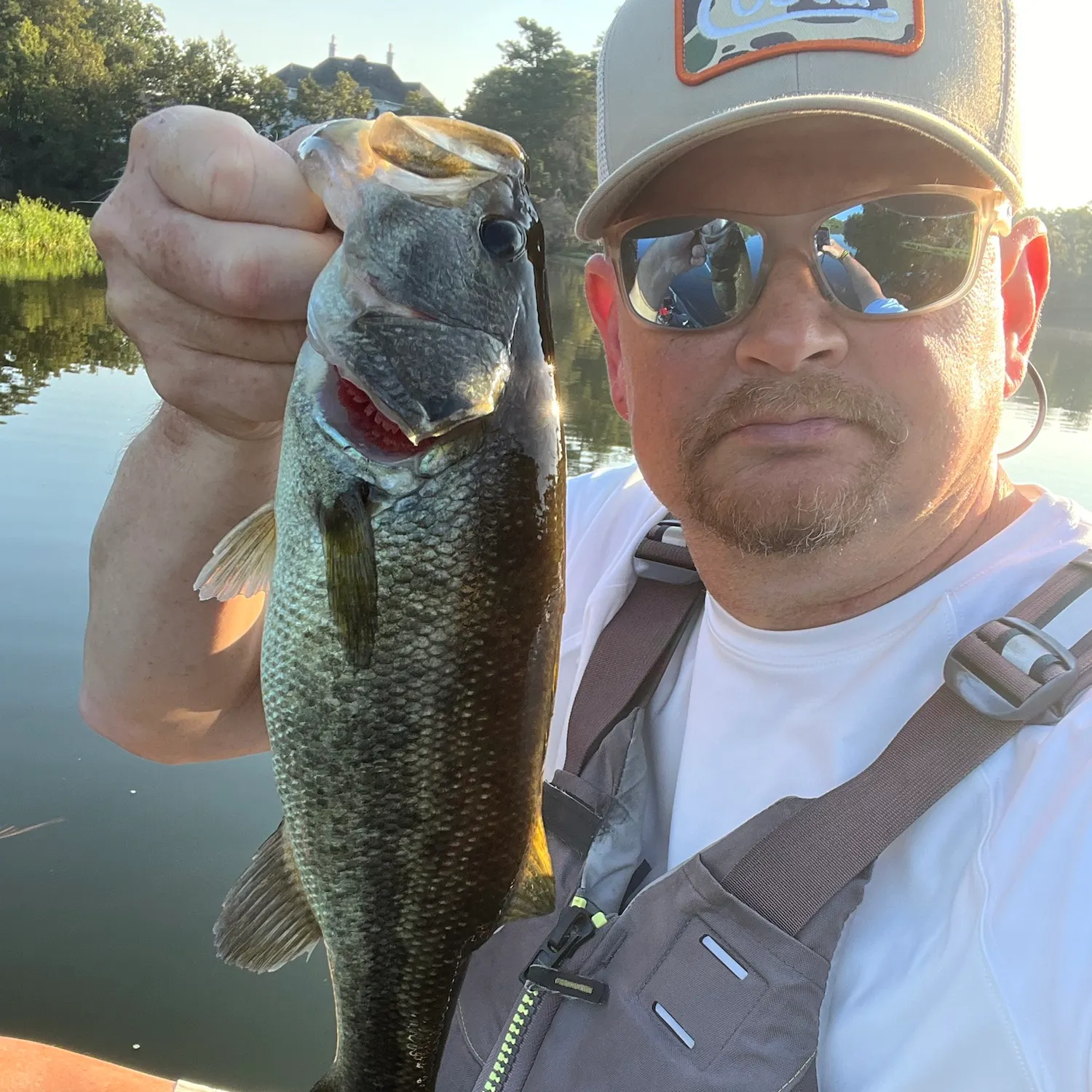 Largemouth bass caught on Fishbrain