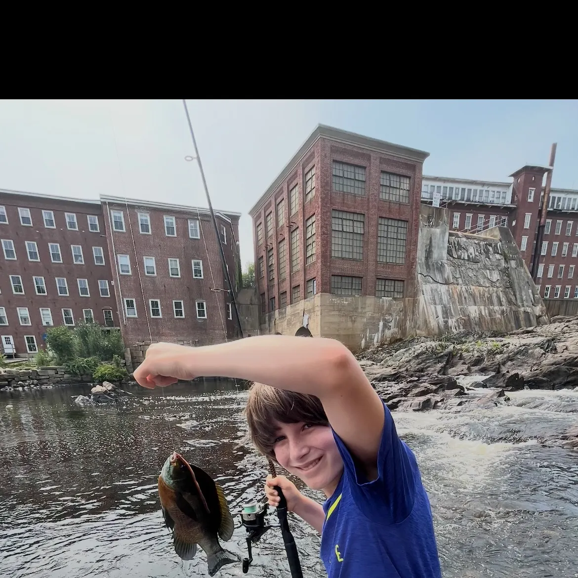 The most recent Bluegill catches on Fishbrain