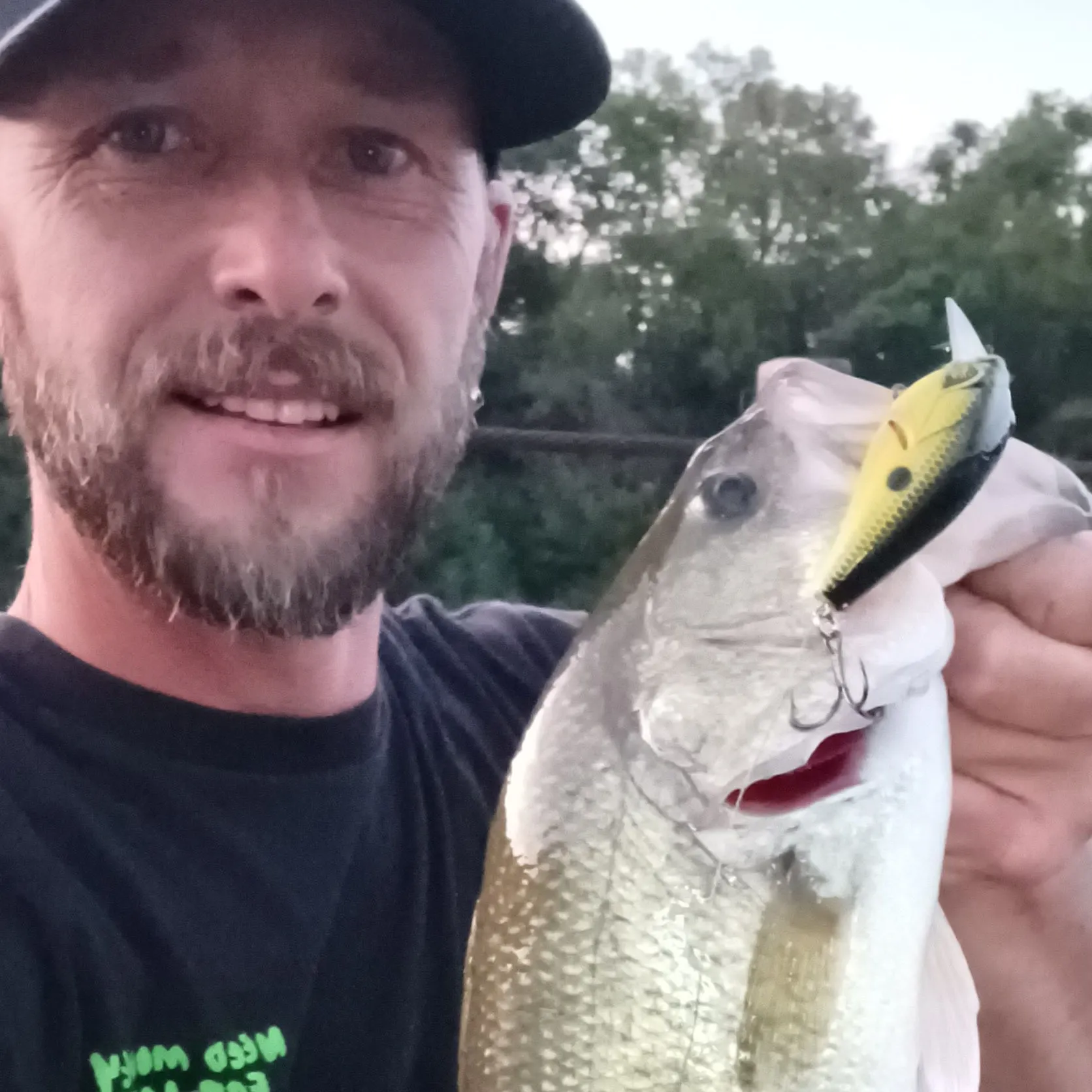 Largemouth bass caught on Fishbrain