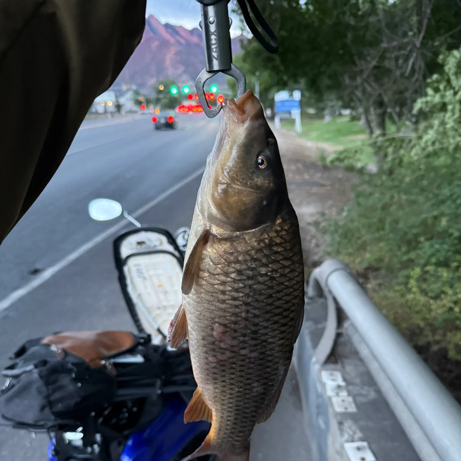 catch