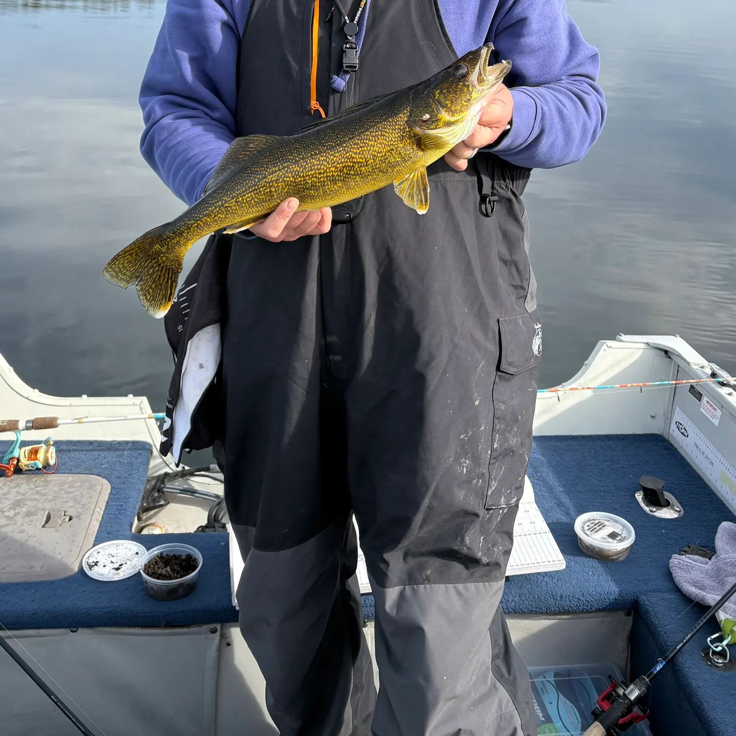 Walleye caught on Fishbrain