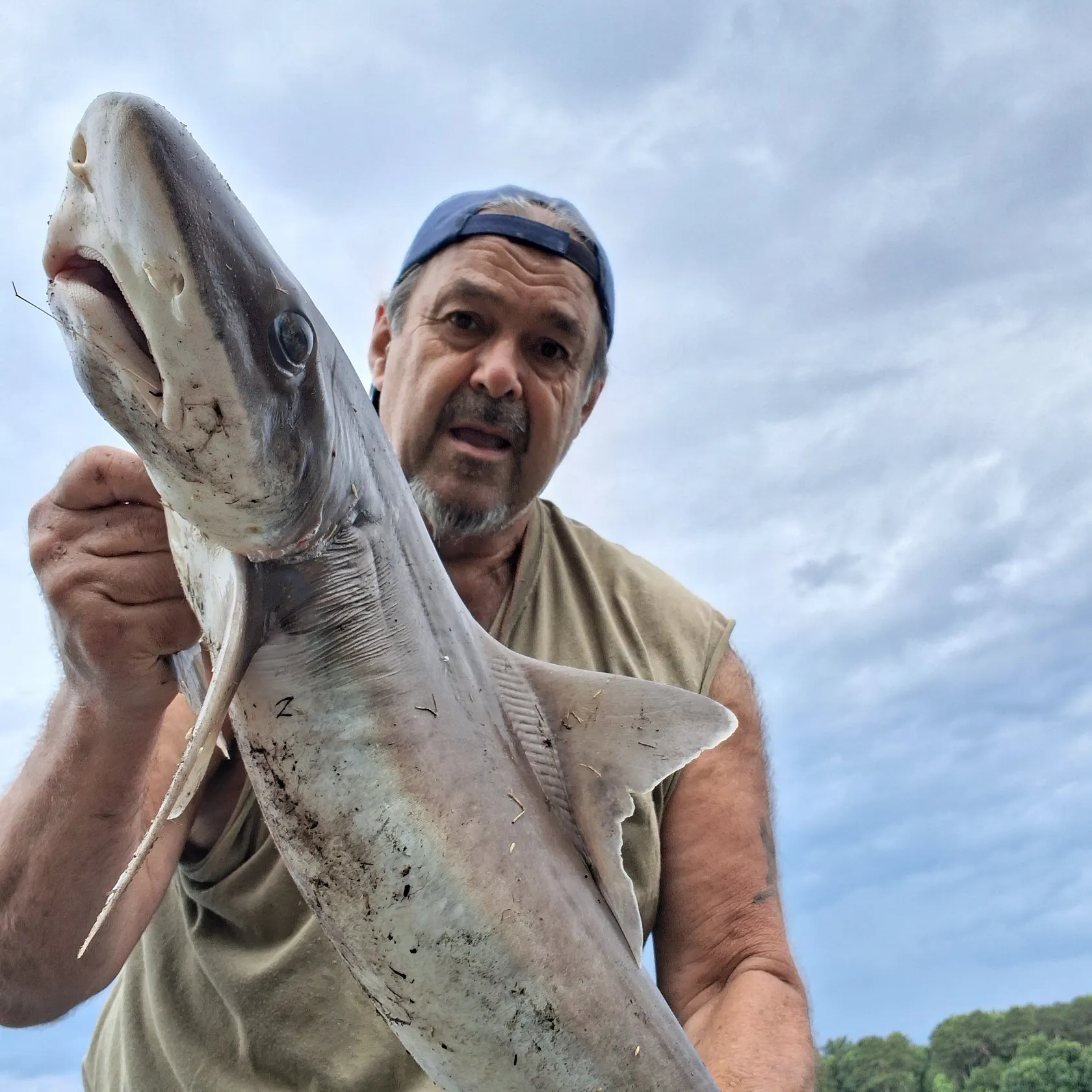 The most recent Northern spiny dogfish catches on Fishbrain